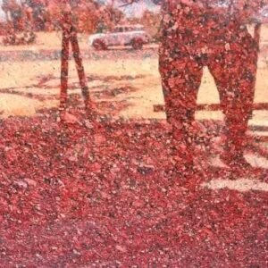 Jem Red Granite slab with red base and white crystals, natural granite stone from India