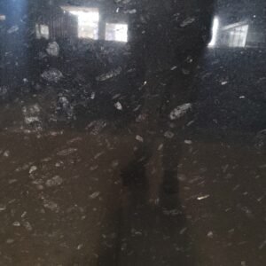 Pearl Black Granite slab with silver pearl texture at best price in India